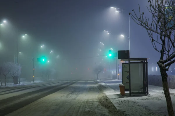 Wintry, snowy city in the fog. City Lights
