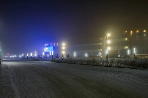 Wintry, snowy city in the fog. City Lights