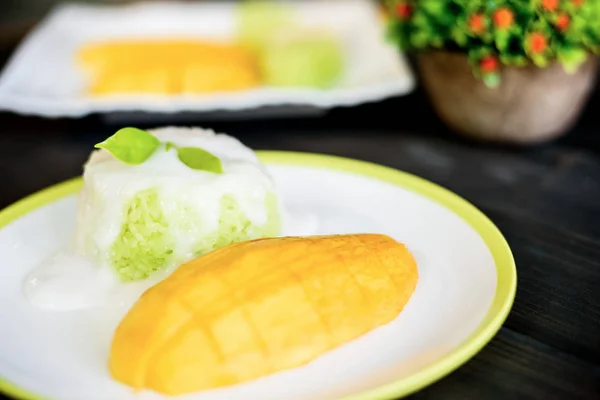 Thai Style Tropical Dessert Mango Sticky Rice — Stock Photo, Image