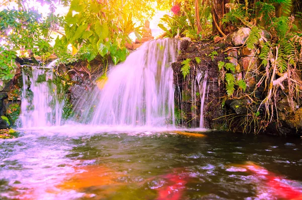 Kis Hegyi Vízesés Trópusi Dzsungel Szelektív Összpontosít Stone Waterfall Közelében — Stock Fotó