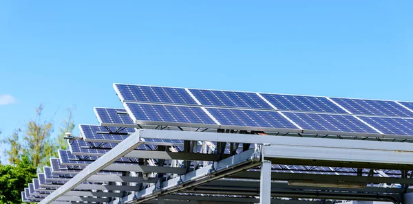 Photovoltaic or solar panel for renewable energy or electricity