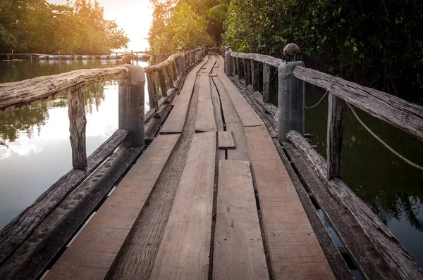 Wood Walkway Path River Tropical Forest — Stock Photo, Image