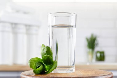 close up glass of clean water with osmosis filter, green leaves on a wooden table in kitchen. Concept water treatment. clipart