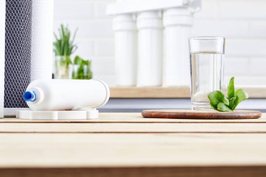 Bir bardak temiz su, ozmoz filtresi, yeşil yapraklar ve mutfaktaki ahşap masa üzerinde kartuşlar. Konsept Ev filtreleme sistemi.