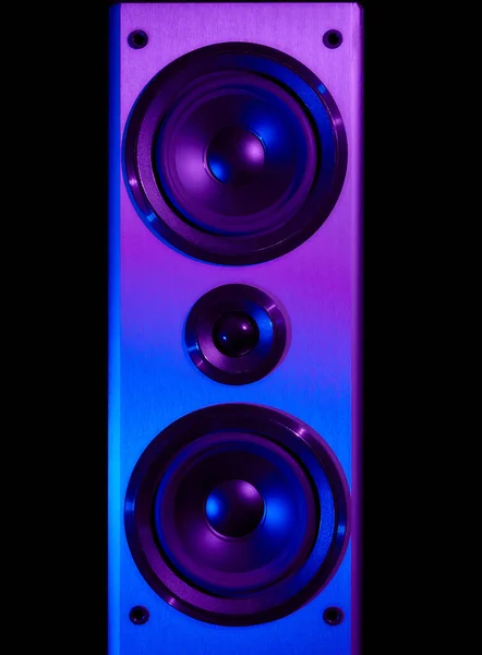 Retro wave, 80s. Frontal image audio speaker with a neon light. Synthwave and vaporwave concept.