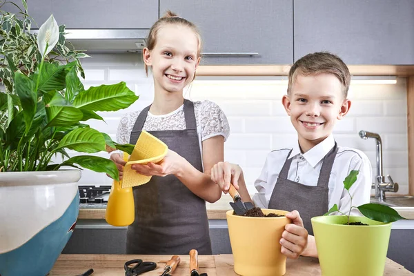 Little children with plants on a kitchen background. Brother and sister grows flowers together.