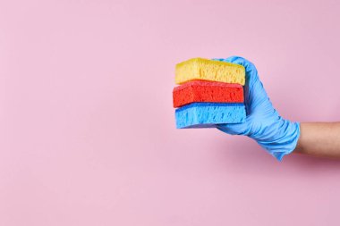 Hand in blue rubber protective glove holding a different: yellow, green and red sponge on pink background