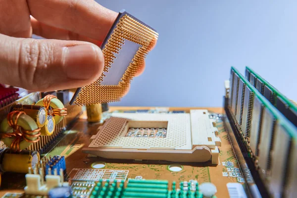 Ingeniero Reparador Celebración Cpu Chip Para Insertar Zócalo Placa Base —  Fotos de Stock