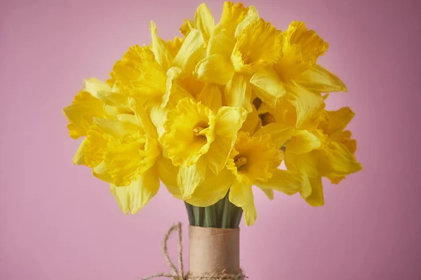 Photo Rapprochée Bouquet Narcisse Jaune Isolé Sur Fond Rose Avec — Photo