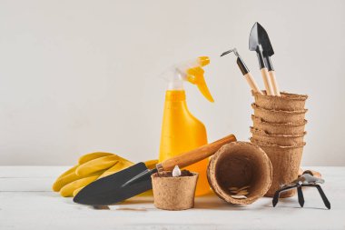 Beyaz ahşap arka planda bahçe aletleri ve ekipmanlar. Mevsimsel Tesis Nakli için hazırlanıyor. Bahçe Konseptine Çiçek ekme.