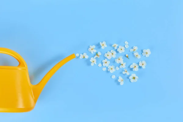 Zavlažování Květina Žluté Zavlažování Plechovky Modrém Pozadí Tvůrčí Pojetí Růstu — Stock fotografie