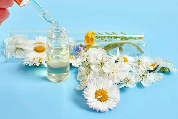 Kosmetyki Naturalne Składnikami Ziołowymi Serum Pielęgnacji Skóry Ciała Kwiatami Roślinami — Zdjęcie stockowe
