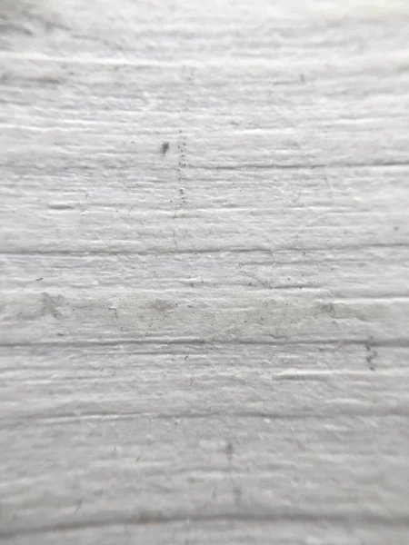 Wood texture. White wood. Macro wood texture. Wood background. Texture.