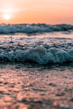 Kıyıda berrak bir dalga