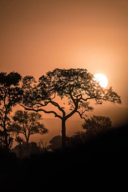 Güney Afrika oyun rezervinde güzel bir gün batımı