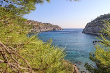 Akdeniz kıyıları, yeşil ladin dalları ön planda bulanıklaştı.