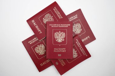 Rus pasaportu, beş parça, beyaz arka planda..