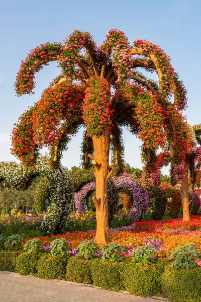 Dubai Mucize Bahçesi Parkı, çiçek ağacı.
