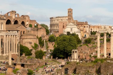 Roman forum, the ruins of ancient Rome. Rome, Italy.