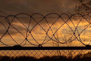 Barbed wire fence at sunset, gloomy sky, tree branches.