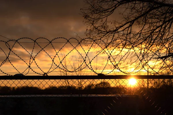 Barbed wire fence at sunset, gloomy sky, tree branch, the sun shines through the fence.