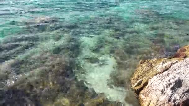 Agua Mar Limpia Orilla Piedras — Vídeo de stock