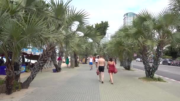 Paseo Marítimo Pattaya Caminatas Palmeras Verdes Pattaya Tailandia 2017 — Vídeo de stock