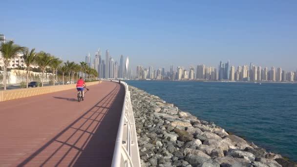 Palm Jumeirah Paseo Marítimo Los Rascacielos Dubai Marina Golfo Pérsico — Vídeos de Stock