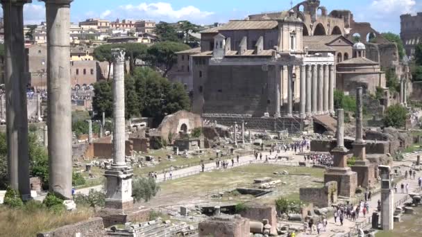 Roma Foro Romano Las Ruinas Antigua Roma Vista Desde Colina — Vídeo de stock