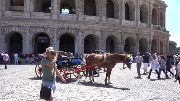 Roma Colosseo Roma Italia Maggio 2019 — Video Stock