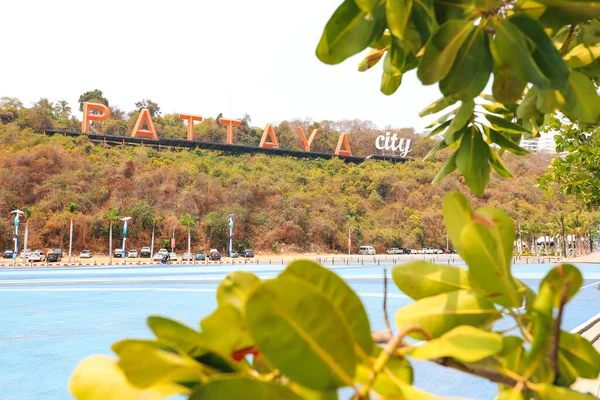 Büyük kırmızı harfler Pattaya bir tepede, ön planda yeşil çalılıklar odak dışı..