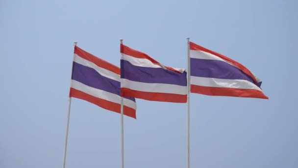 Drie Vlaggen Van Thailand Tegen Een Blauwe Lucht Fladderen Wind — Stockvideo