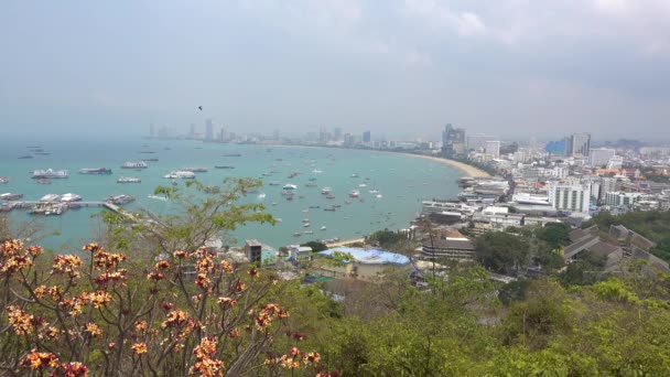 Pattaya Vista Panorâmica Cidade Costa Partir Colina Pratumnak — Vídeo de Stock