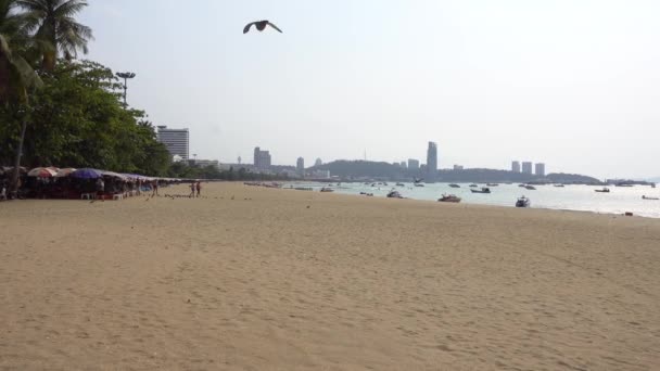 Pattaya Bella Vista Sulla Spiaggia Della Città Pattaya Thailandia Marzo — Video Stock