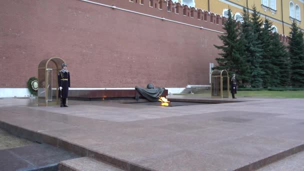 モスクワクレムリンアレクサンダー庭園 未知の兵士の墓 名誉の警備員の兵士 永遠の炎 ロシア モスクワ2018年4月 — ストック動画