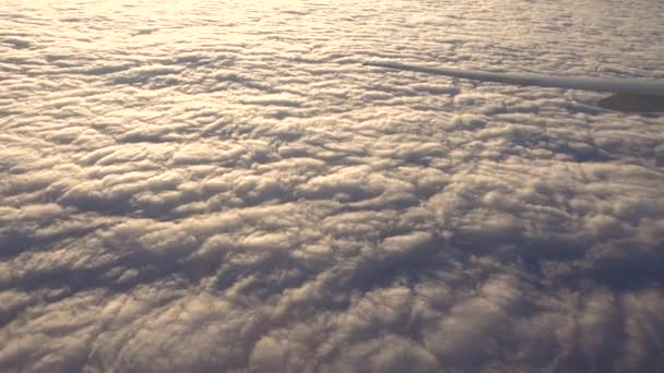 飞机的机翼在云彩之上飞翔 从飞机的窗口从乘客座位上看去 阳光透过窗户射出 — 图库视频影像