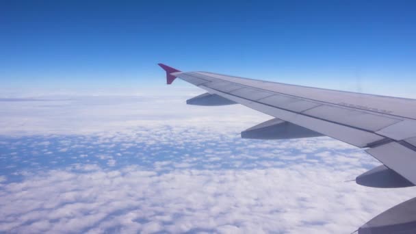 Vleugel Van Een Vliegtuig Dat Boven Wolken Vliegt Het Uitzicht — Stockvideo