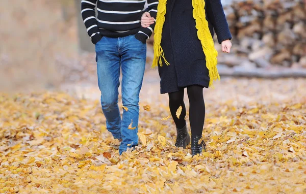 Piękna para trzymając się za ręce, chodzenie na jesień wiejskich ścieżka — Zdjęcie stockowe