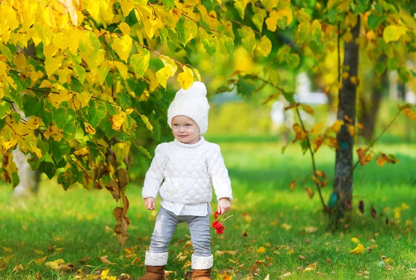 Bambino ragazza avendo divertimento in autunno parco — Foto Stock