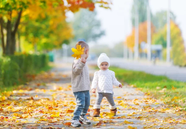 秋天的公园玩，哥哥和小妹妹. — 图库照片