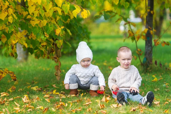 The brother and the little sister sit in a grass in the autumn park. — Stock Photo, Image