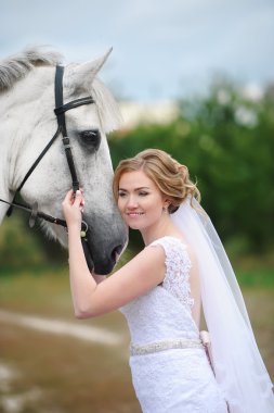 Bir at yaz Park ile güzel gelin