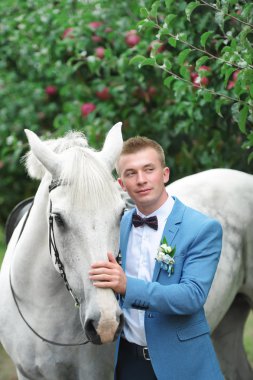 Bir elma ağacı bahçede güzel safkan at ayakta yanındaki damat.