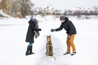 Kadın ve erkek köpek karda oynamak