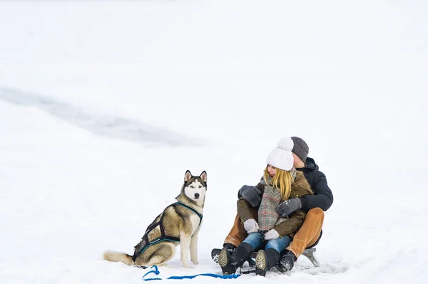 Casal feliz trenó com tobogã e cachorro no inverno — Fotografia de Stock