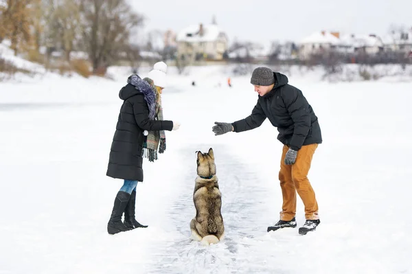 Kobieta i mężczyzna bawić się z psem w śniegu — Zdjęcie stockowe