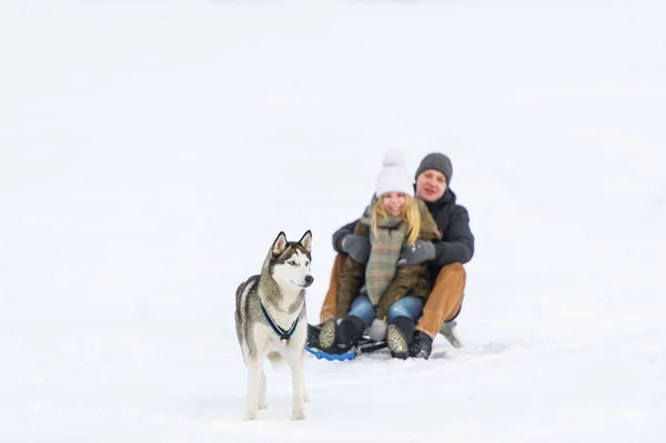 Lyckligt par pulka med kälke och hund i vinter — Stockfoto