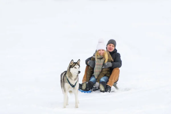 Casal feliz trenó com tobogã e cachorro no inverno — Fotografia de Stock