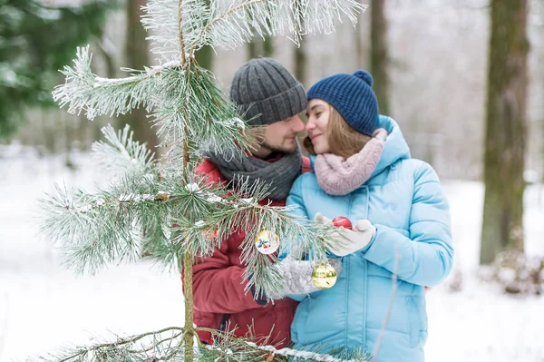 Gentle kiss in the winter wood on the eve of Christmas. — Stock Photo, Image