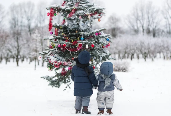 Brother and baby sister walking in forest on holiday winter day — Stock Photo, Image